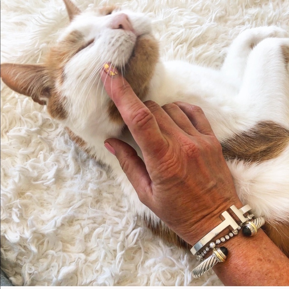 David Yurman Black Onyx 7mm Cable Bracelet